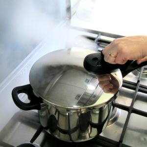 magefesa pressure cooker instructions