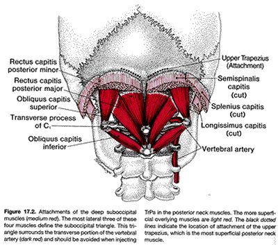 post prp injection instructions