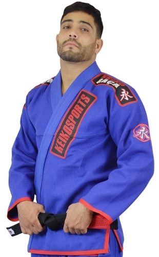 best bjj instructional videos