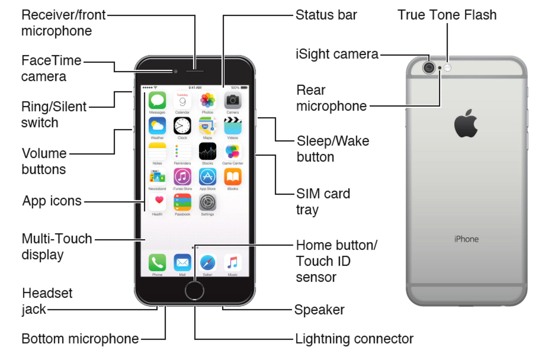 iphone 7 plus camera instructions