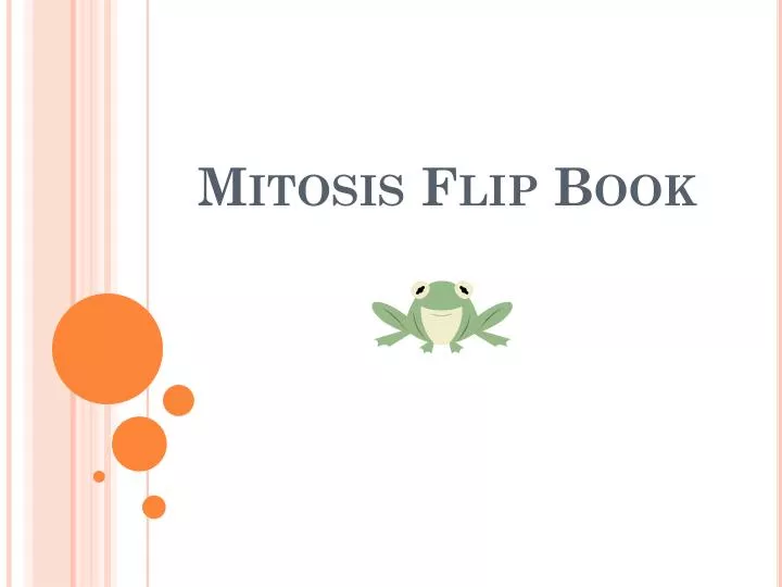 mitosis flip book instructions