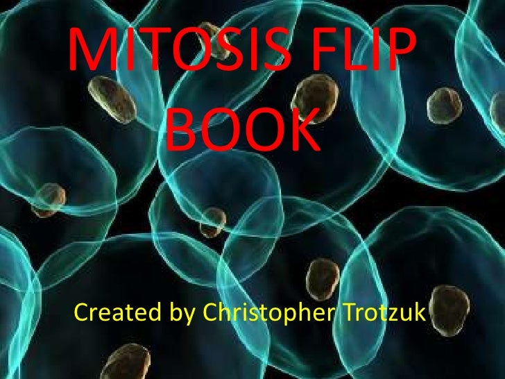 mitosis flip book instructions